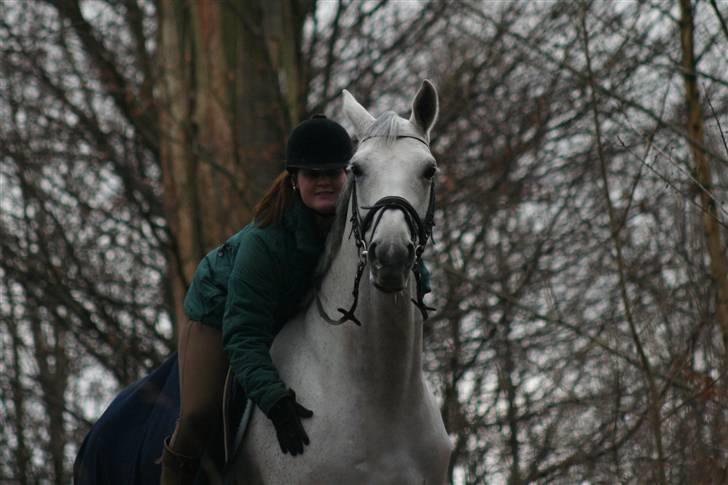 Dansk Varmblod Day-Light <3 †R.I.P† <3 - Skovtur efterår 2009. Foto: Far billede 4