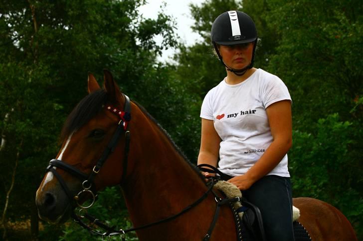 Anden særlig race Ferrari  - solgt :'( :'(  - han betyder så meget, det er ubeskriveligt <3  billede 9