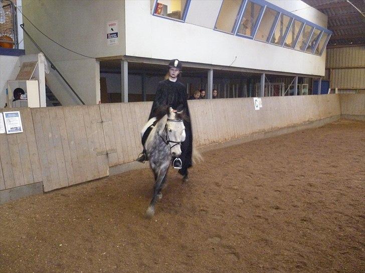 Anden særlig race Theis - VBP <3 - Sidste stævne sammen )-; //foto: Jeanette(;// billede 3