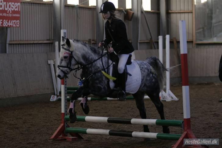 Anden særlig race Theis - VBP <3 - spring LE..HARK // foto:Malene Markmann  billede 4