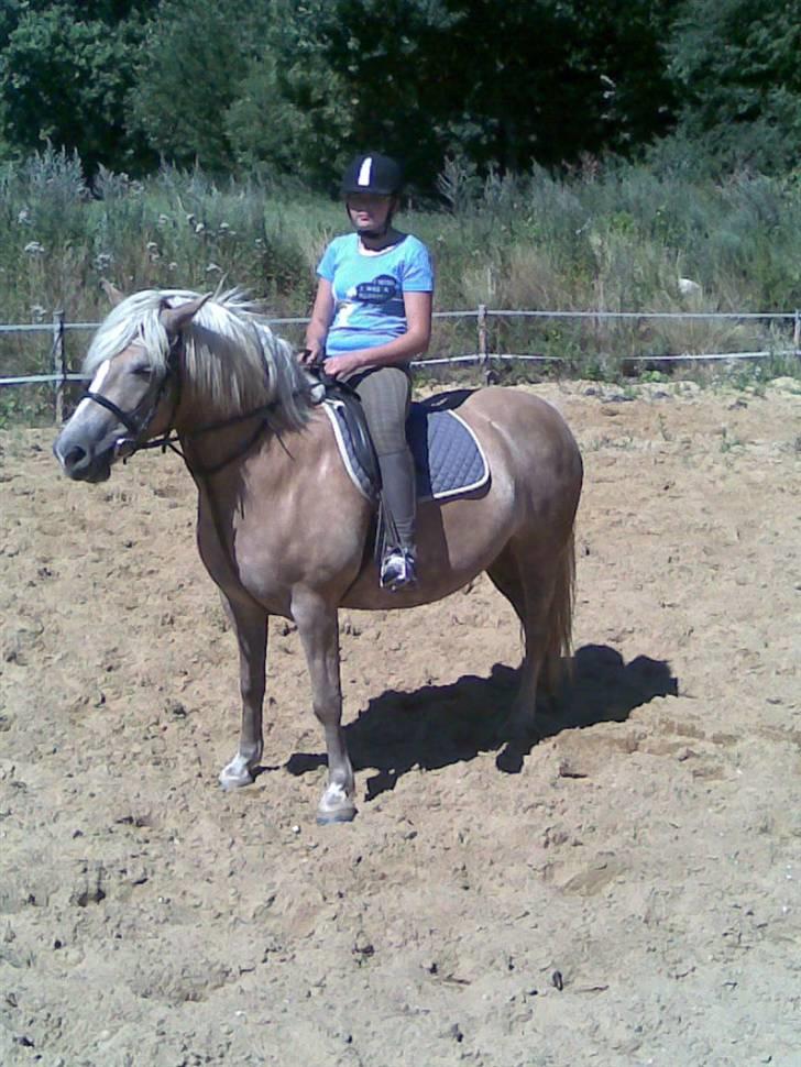 Haflinger Emma <3 (gamle part) - ridning d 26 juli 08 :)  billede 13