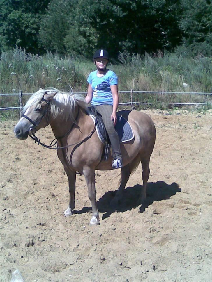 Haflinger Emma <3 (gamle part) - ^^ billede 14