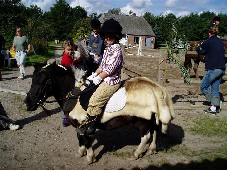Shetlænder Sir Toby - mig og Toby til udklædnings-spring, jeg vandt "bedst udkædt" og kom på 2. pladsen i selve spring-klassen :) billede 7