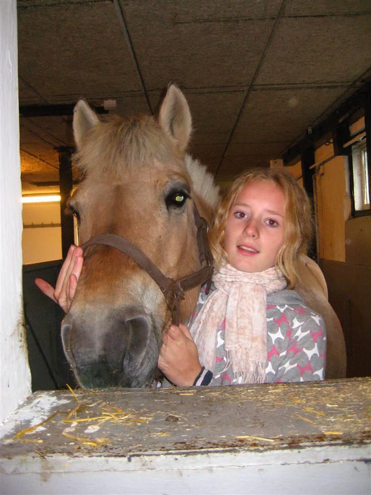 Fjordhest Jasmin<'3 Solgt ! :'( - Mig og Jasminus´ i stalden, sidste dag med hende :´(  billede 7