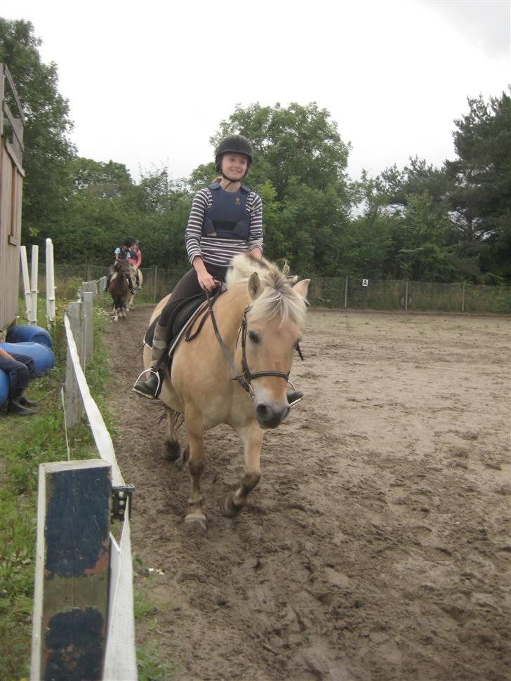 Fjordhest Jasmin<'3 Solgt ! :'( - Smiley face XD billede 10