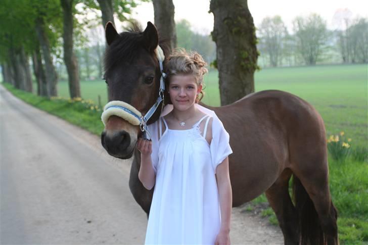 New Forest Bastian ¤solgt&savnet¤ - Velkommen til Bastian´s profil :D Konfirmationsbillede billede 1