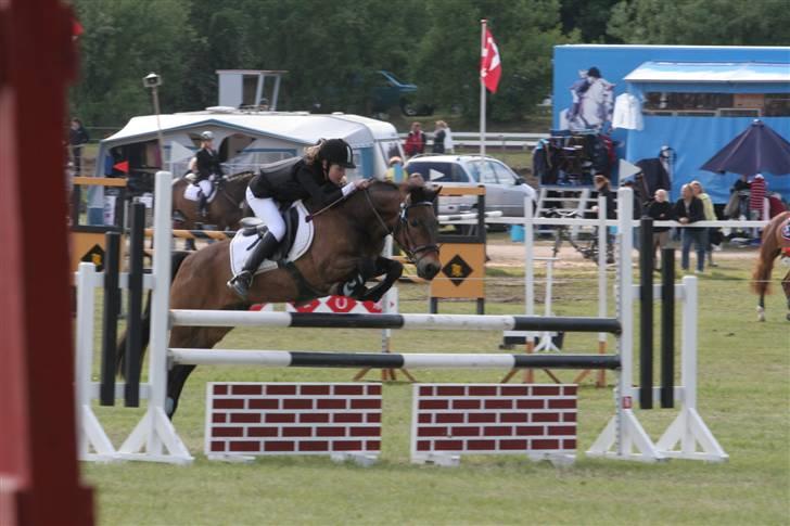 New Forest Bastian ¤solgt&savnet¤ - Morsø-cup 09 MB billede 2