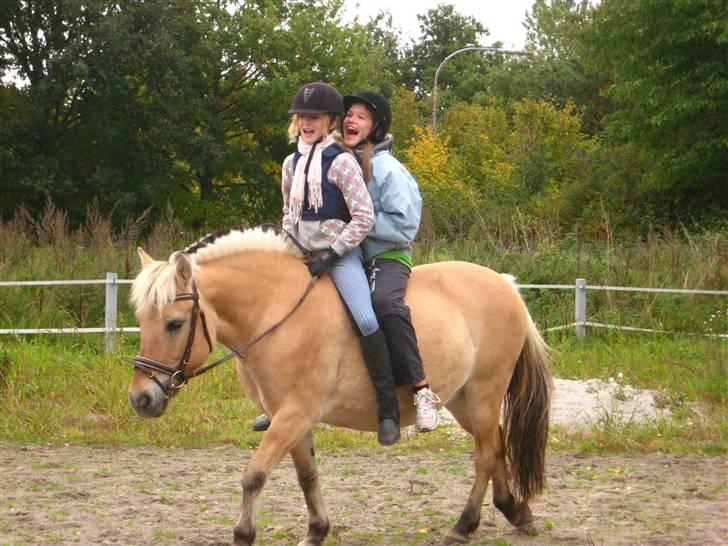 Fjordhest Jasmin<'3 Solgt ! :'( - mig og Sarah rider 2 på Jasminus, det var fucking sjovt xD det glemmer jeg aldrig. det var sidste gang jeg havde hende, :´( <´3 billede 13