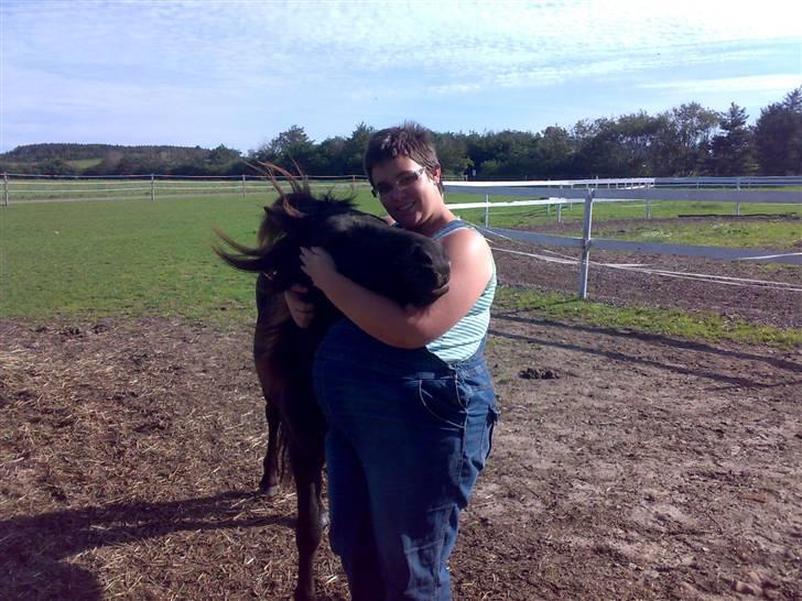 Islænder viktor  billede 6