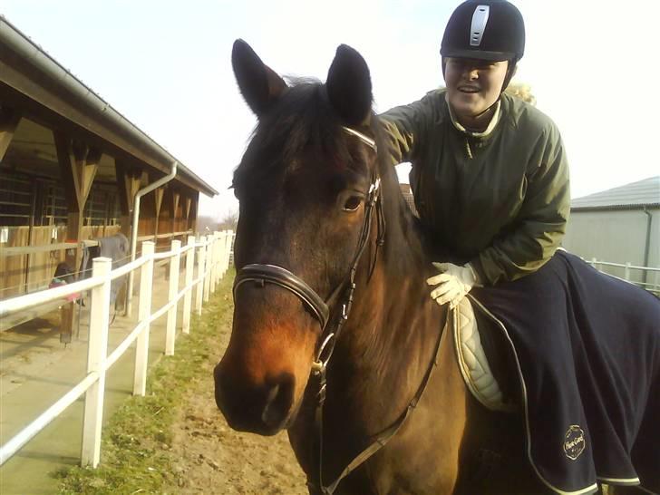 Dansk Varmblod Klanks Giovanni † RIP † - Savner ham enormt :i <3 billede 8