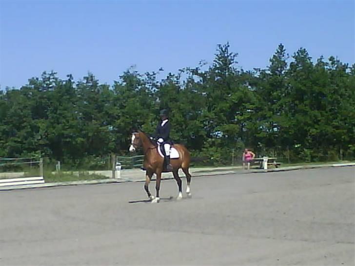 Anden særlig race Abi   gone ); - til vores første stævne sammen. billede 8