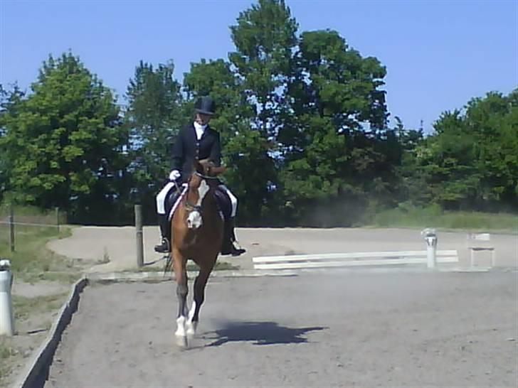 Anden særlig race Abi   gone ); -  til vores første stævne sammen billede 9