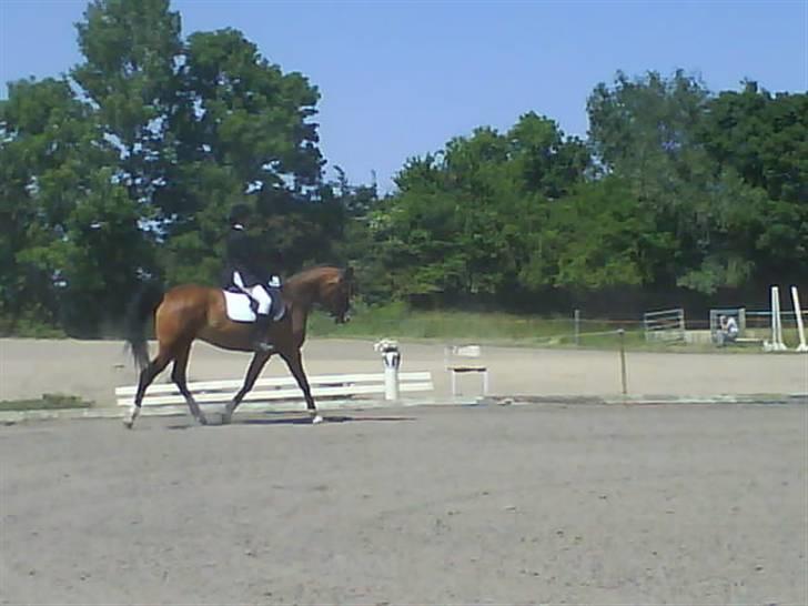 Anden særlig race Abi   gone ); - til vores første stævne sammen. billede 10