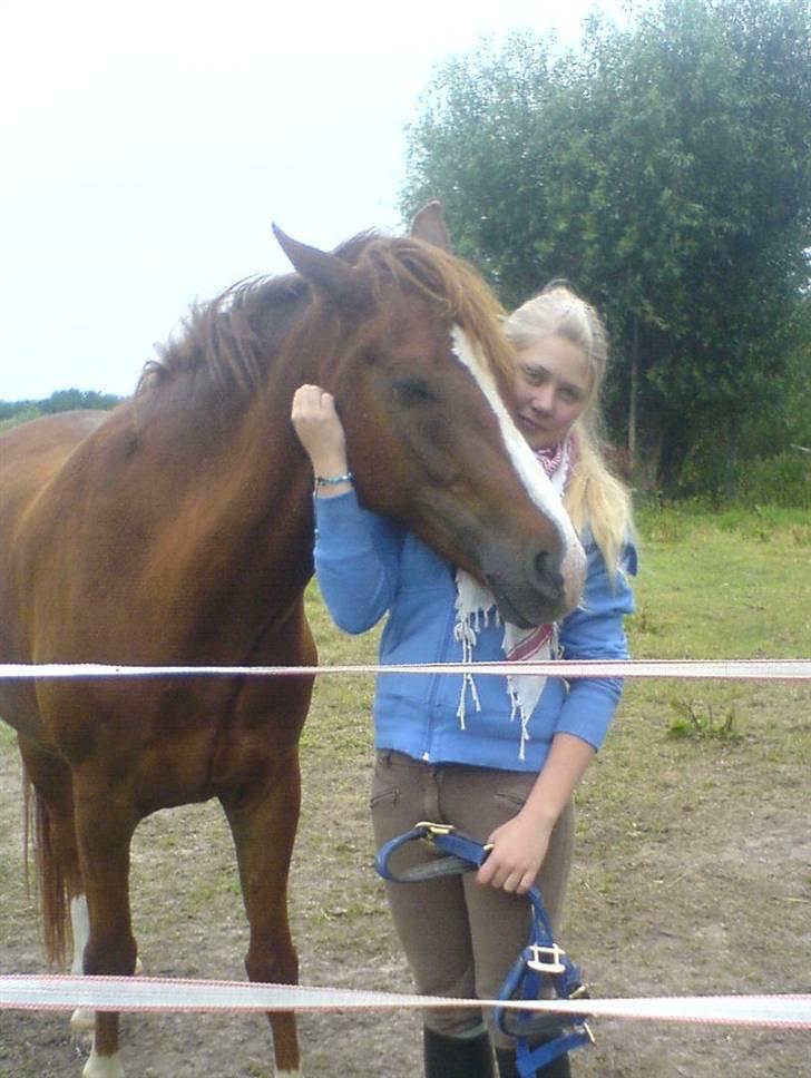 New Forest Sirocco *R.I.P* - Arrg cocoMus:b Elsker dig bare så meget .. håber du bliver rask.. det ønsker jeg mere end noget andet. vil ikke midste dig.. nej  nej neeej  billede 15