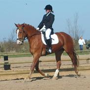 Frederiksborg Løgagers Sebastian