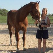 Frederiksborg Løgagers Sebastian