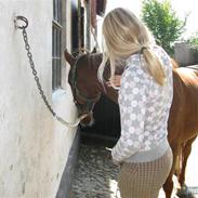 Tysk Sportspony Josie<33 Solgt:'-(