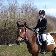 Anden særlig race Beauty