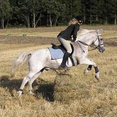 Anden særlig race Leight Garbo