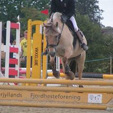 Fjordhest Bianka Kongehøj 