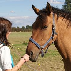 Anden særlig race Holmgaards Jazmin tidl pt