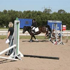 Anden særlig race TiMon  -solgt 