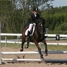 Anden særlig race TiMon  -solgt 