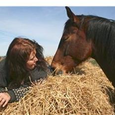 Anden særlig race Delano <3 Himmel hest <3