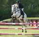New Forest Odbjergs Bonnie - RIP