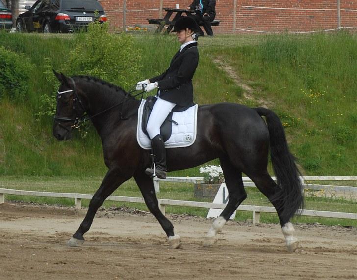 Oldenborg Østrupgård Primus billede 15