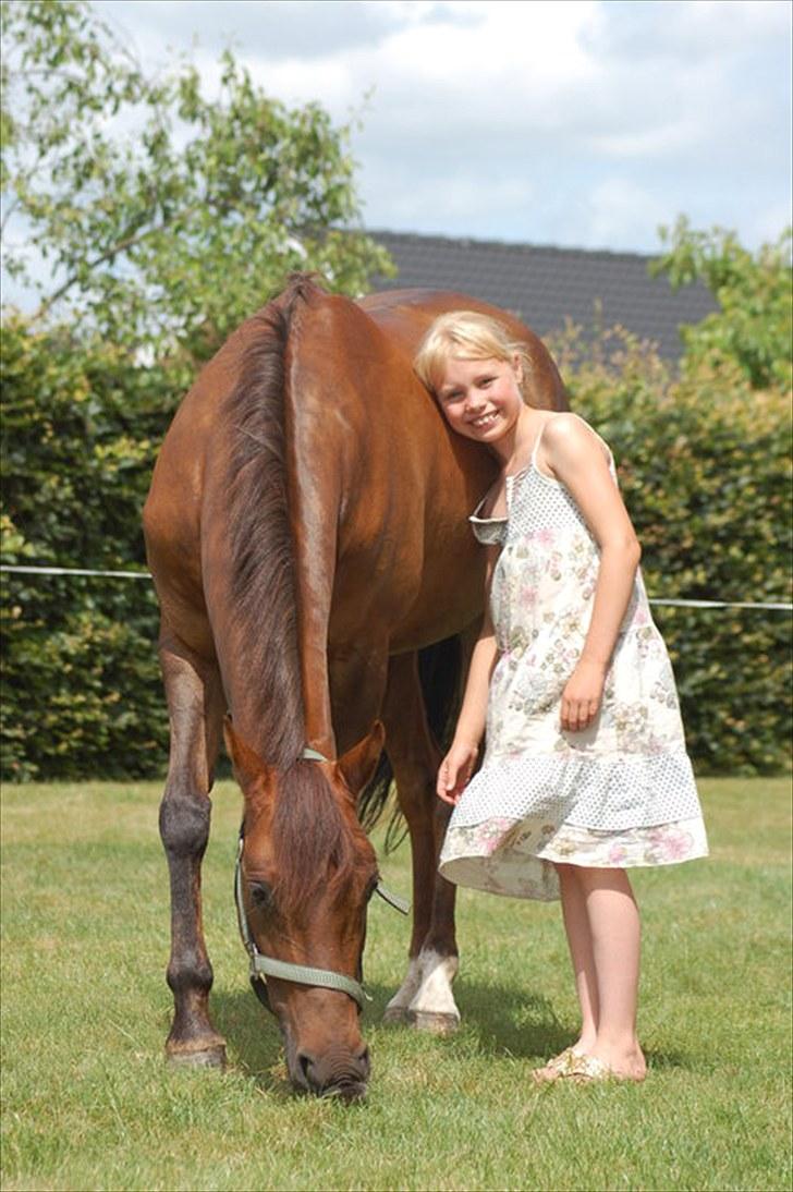 Hollandsk Sportspony Silvana/ solgt - Sille hendes efterfølgende ejer billede 17