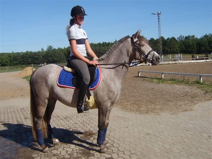 Connemara Canella - canella og jeg (: billede 5