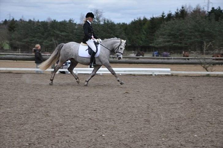 Connemara Canella - canella og jeg (: billede 6