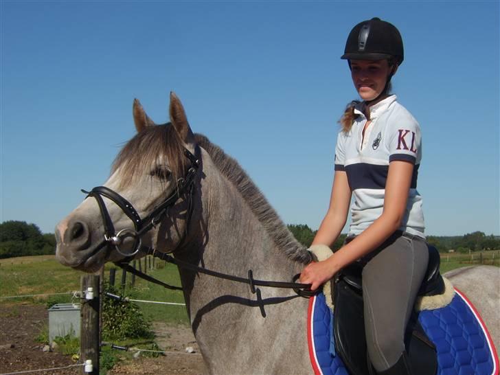 Connemara Canella - canella og jeg (: du er skøn! billede 8