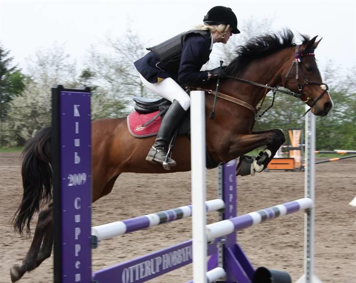 Arabisk fuldblod (OX) Riel'l - Riel´l og mig  LB spring 3 plads billede 1