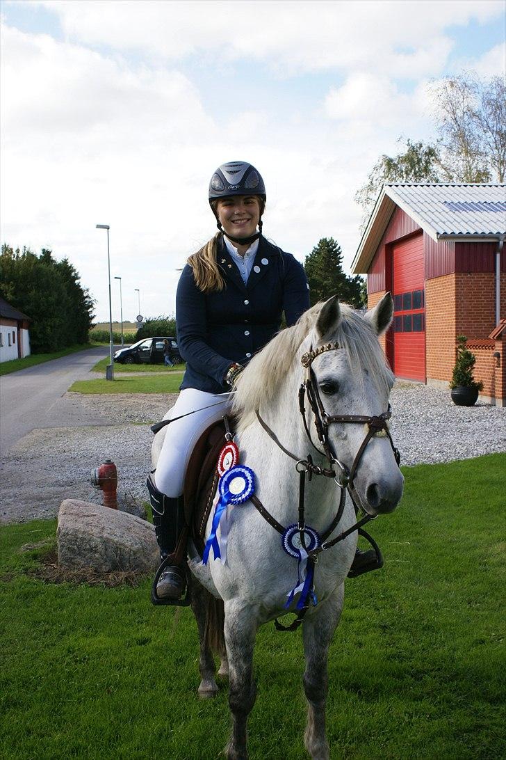 New Forest Højskovens Reja MitAlt!<3 -  Mit lille "vinder" dyr :p<33333
Foto Mor billede 11