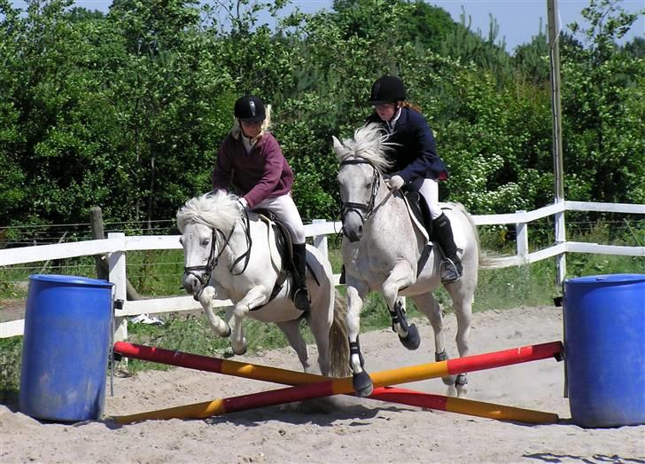 Anden særlig race Leight Garbo - Parspringning som vi vandt hehe billede 6