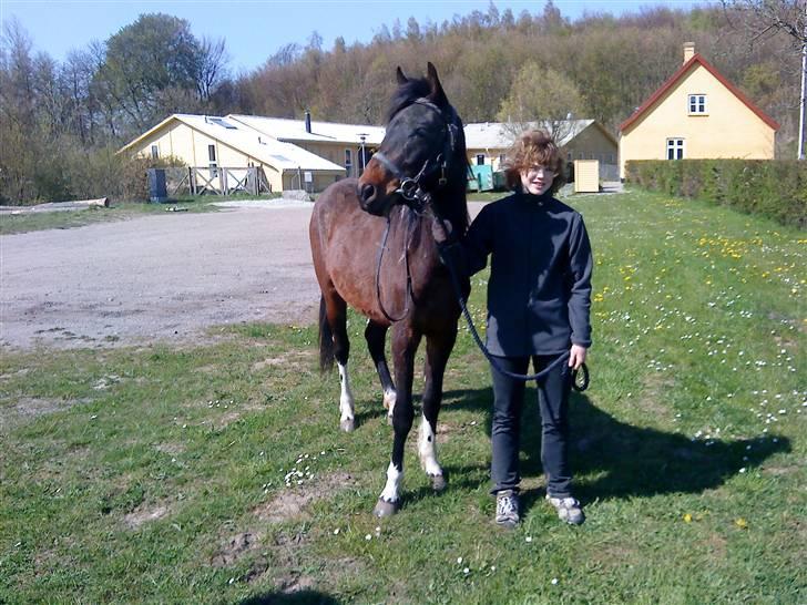 Anden særlig race Fighter - fighter & mig billede 4