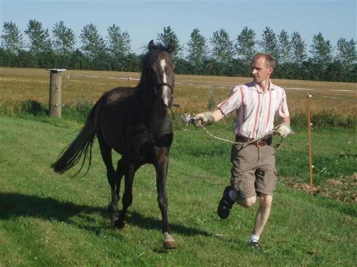 Anden særlig race Damano - Damano og "far" løber lige en lille tur... billede 1