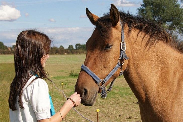 Anden særlig race Holmgaards Jazmin tidl pt - Jazmin og Line 2010 billede 2