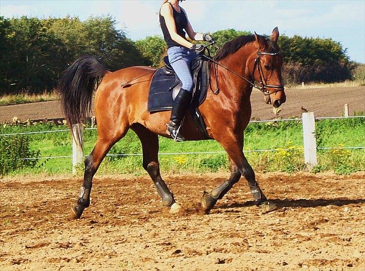 Anden særlig race Don Camilo - velkommen til min profil,, kom gerne med en kommentar<3 billede 1