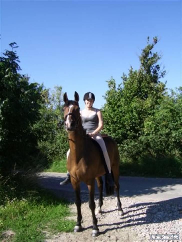 Polsk Varmblod Marchion - Min første ridetur, på min nye dejlige hest :0) billede 12