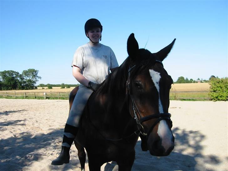 Polsk Varmblod Mir *R.I.P* billede 17