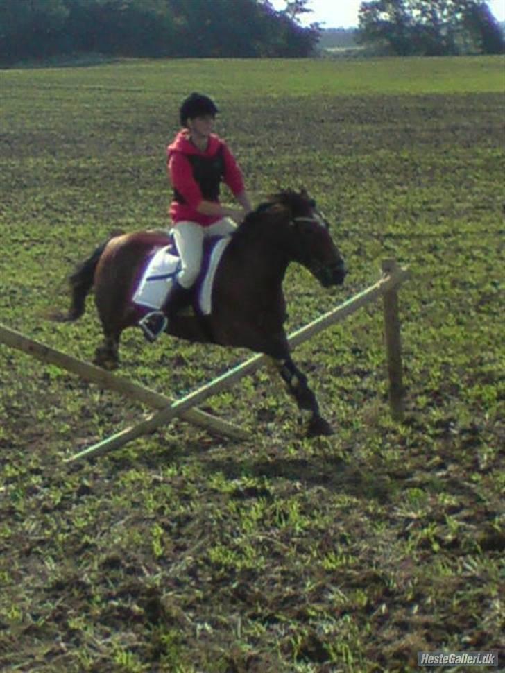 Anden særlig race Bobby<3 (SOLGT):'(!! - jagt den 6/9-08.. han flyver !!   foto: min mor. , på kampmann´s mobil billede 6