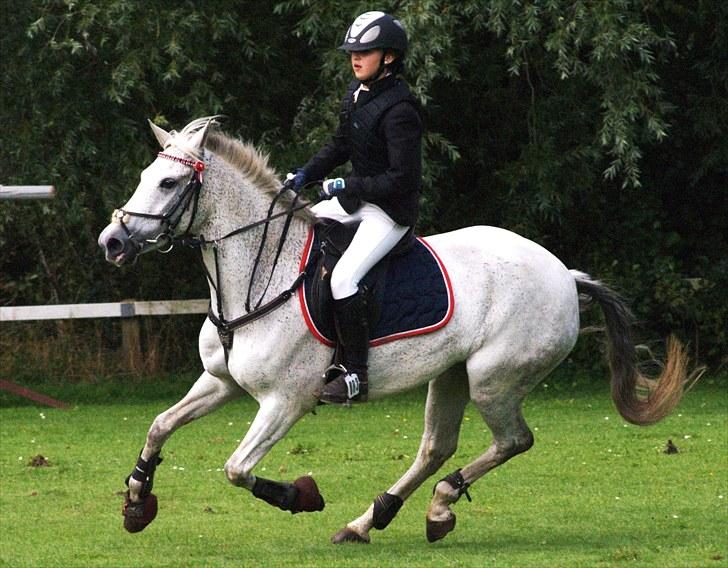 New Forest Odbjergs Bonnie - RIP - Foto: JEannnett  billede 12