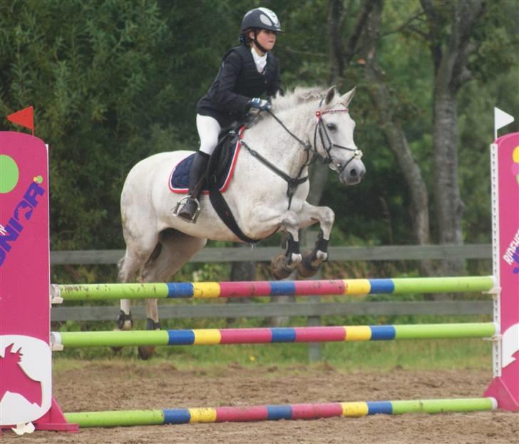 New Forest Odbjergs Bonnie - RIP - stævne i ulsted rideklub ;D dagen inden ´Mesteskab :P taget af Jeannett <33 billede 15