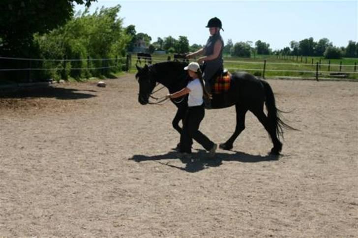 Frieser Ingrid - Fra Christina Holmbeck kursus 30 maj - 1 juni 2008 billede 13