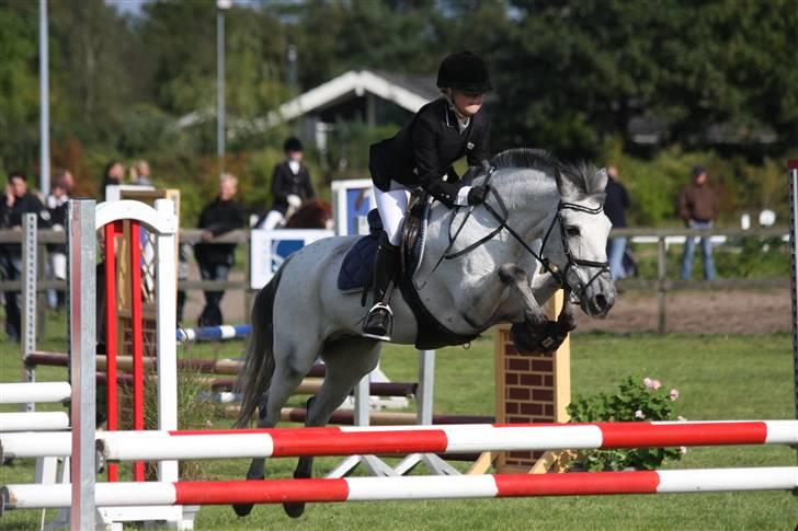 Anden særlig race PRIK. - Distriktmester skaberne 2008 - La i DRK. Fordi vi var bedst.  billede 4