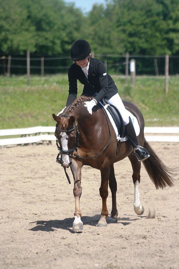 DSP Kavsgaards Belinka BSDH - Dygtig pony :* billede 17