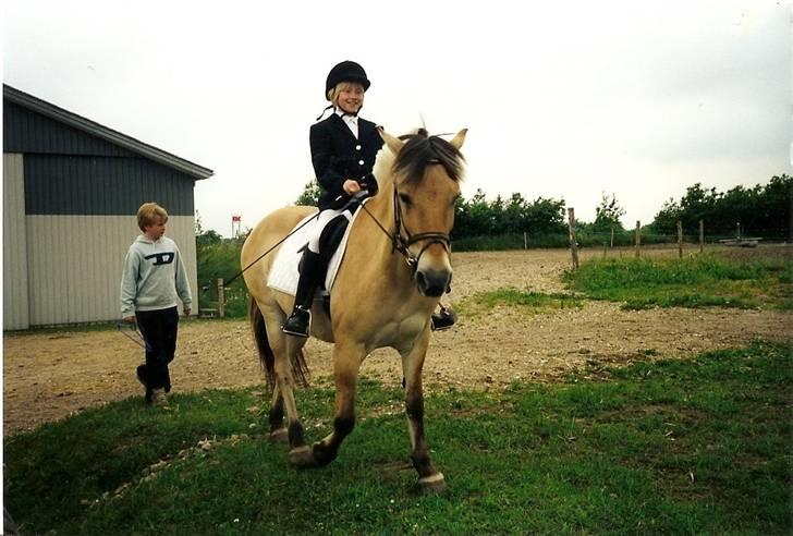 Fjordhest Rosa *RIP*  - Skal til at ride en dressur klasse (: billede 9